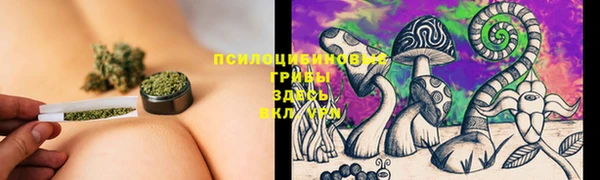 дмт Гусиноозёрск