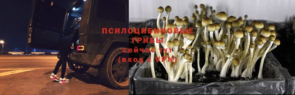 mix Гусь-Хрустальный