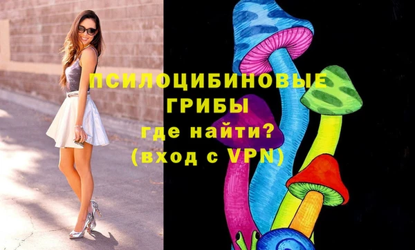 дмт Гусиноозёрск